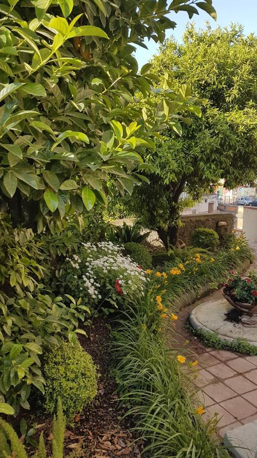 Dimora Storica "Le Stanze Di Dioniso" Villa Nápoly Kültér fotó